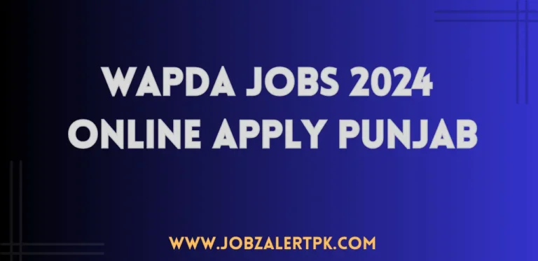 WAPDA Jobs 2024 Online Apply Punjab