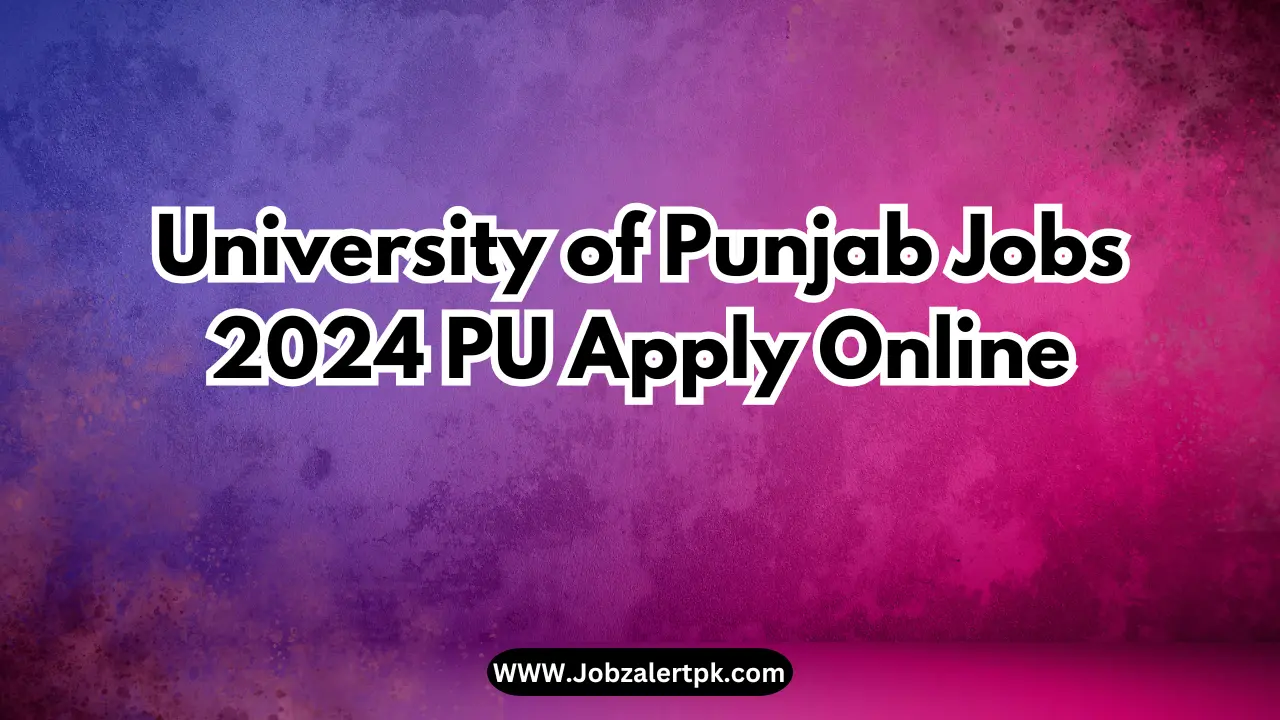 University of Punjab Jobs 2024 PU Apply Online