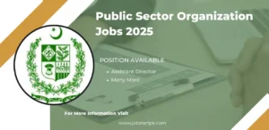 Public Sector Organization In Balochistan Jobs 2025 Apply Online